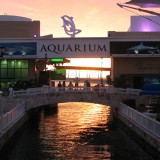 Alt- Cancún